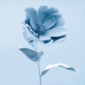 Meet your Posher, Gaby